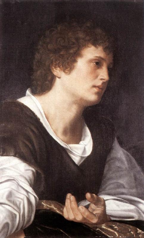 SAVOLDO, Giovanni Girolamo Bust of a Youth sg oil painting image